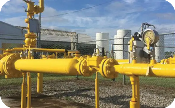 Natural Gas
